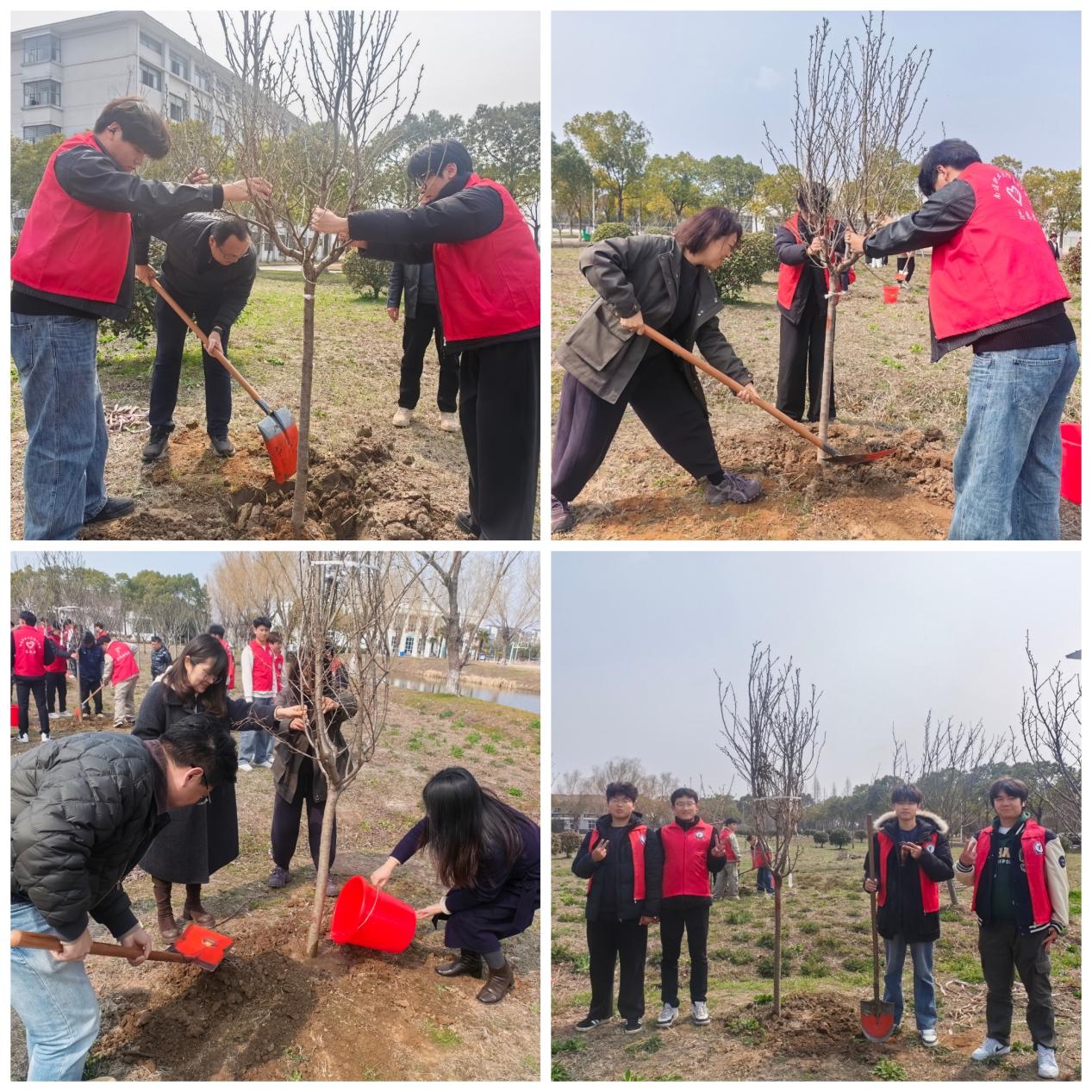 海门学院开展2026植树节志愿服务活动